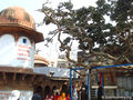 चीर घाट, वृन्दावन Cheer ghat, Vrindavan