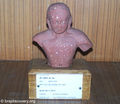Bust-of-Jina-Jain-Museum-Mathura-33.jpg