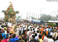 Rath Yatra Rang Nath Ji Temple Vrindavan Mathura 3 .jpg